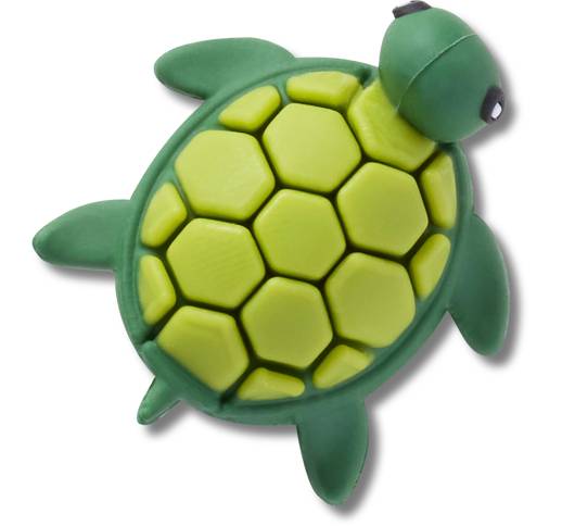 3D UV Changing Turtle
